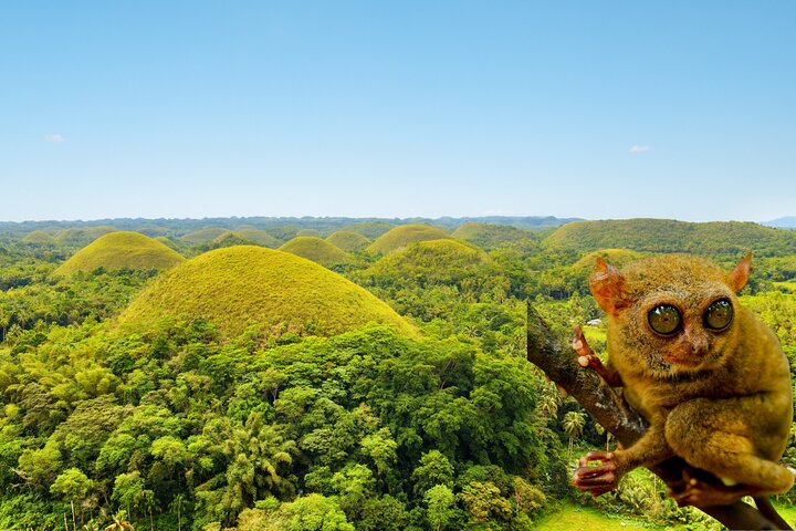 Chocolate Hills, Bohol
